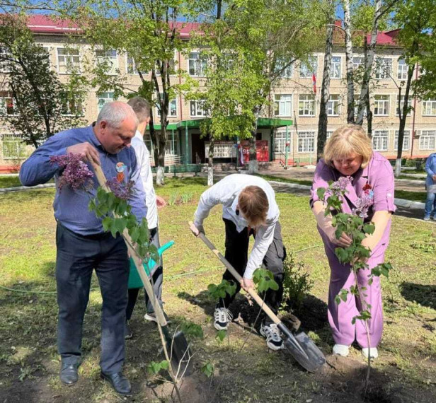 Акция "Сирень Победы".